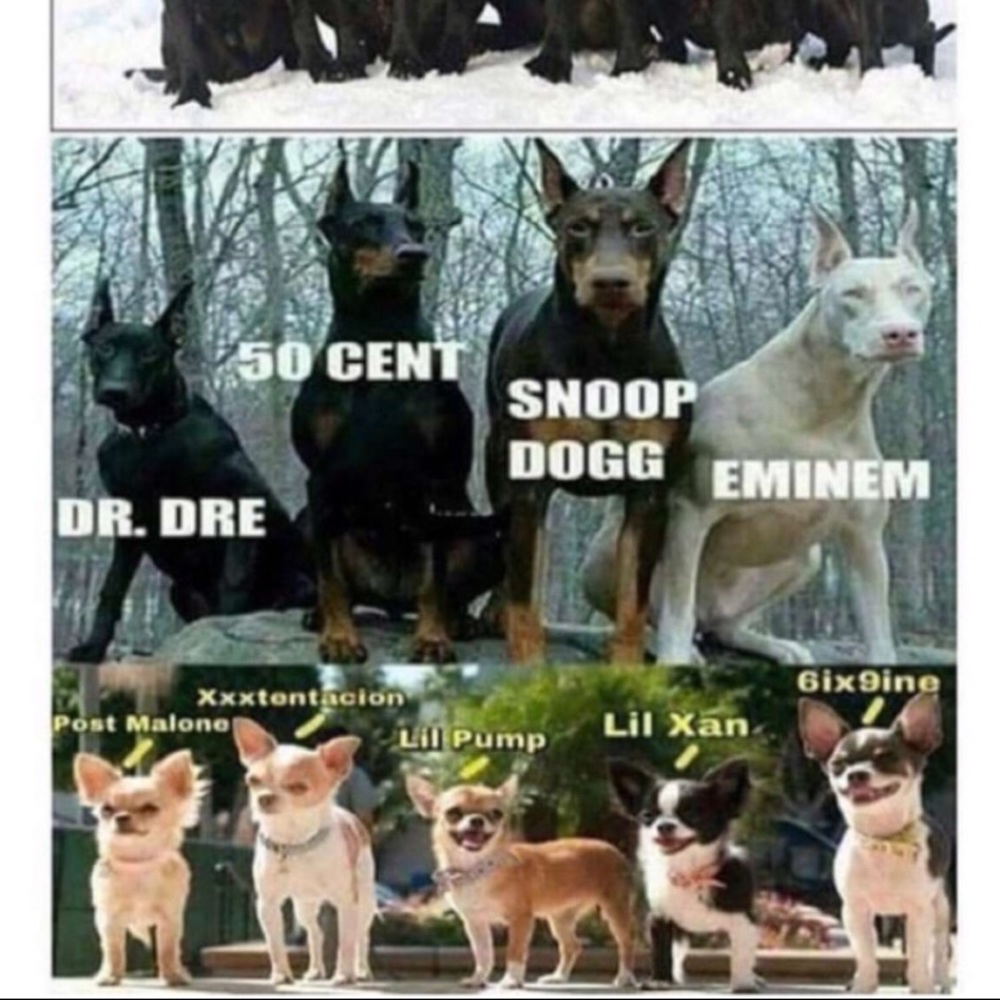 Meet your Posher, Alexandra